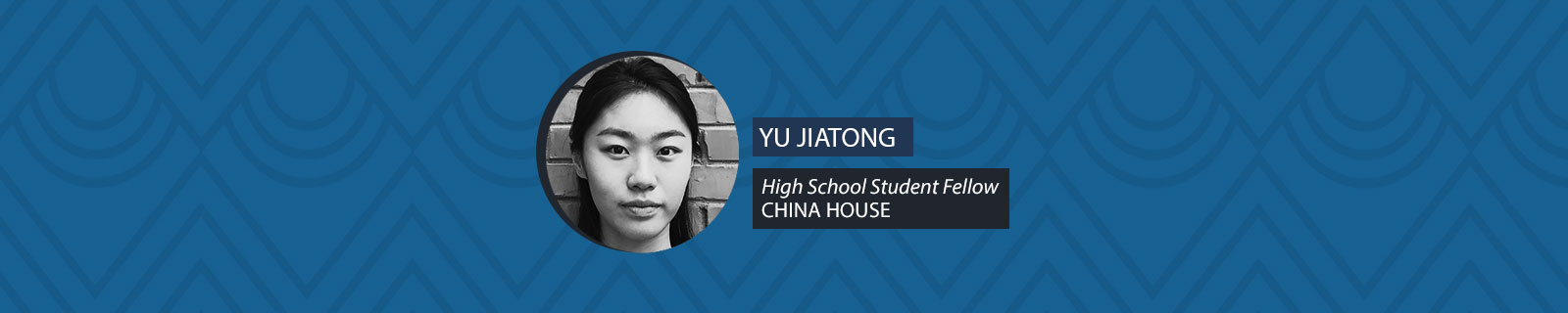 “A Mixture of Dragons and Fish”: The Chinese Business Community in Ethiopia