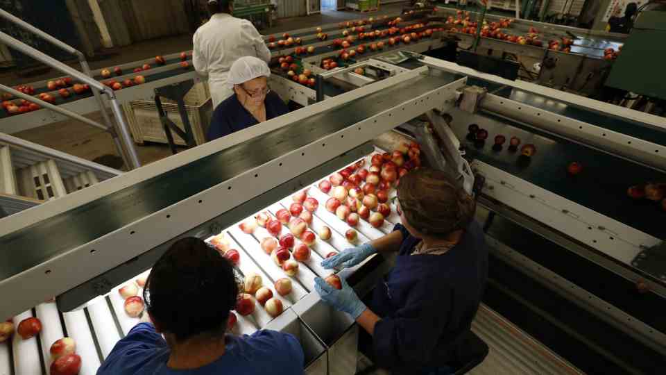 Chile se convierte en el primer país del mundo con certificación fitosanitaria 100% digital con China