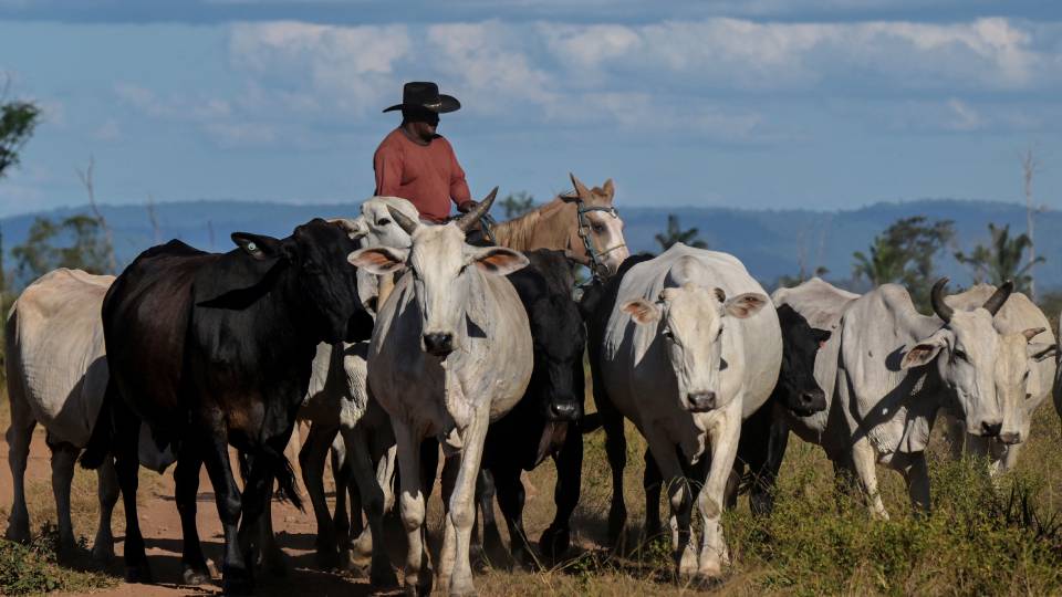 La diplomacia de la carne de res de Brasil y los límites de la autonomía estratégica
