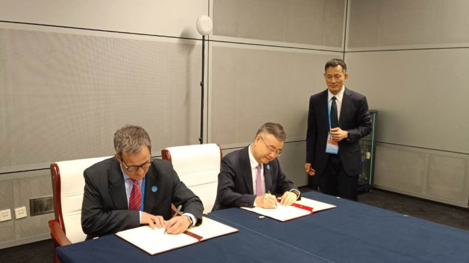 Chile y China flexibilizan reglas fitosanitarias para proteger envíos de fruta fresca ante brotes de plagas